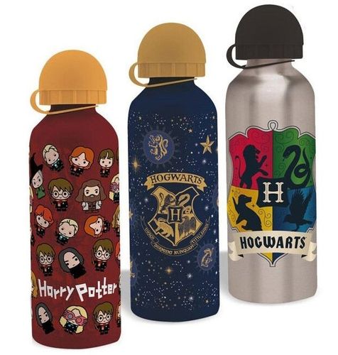 bouteille aluminium Harry Potter 500ml